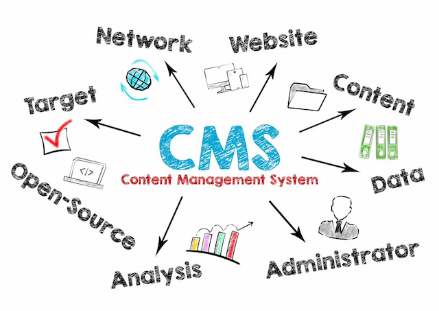 What is CMS (WordPress)?